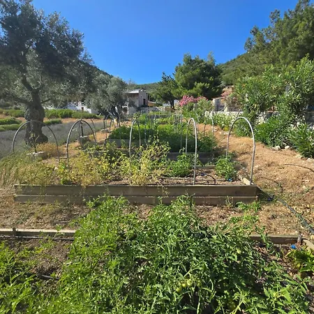 Da Doga Icinde Ciftlik Evleri Gaia Salamoria