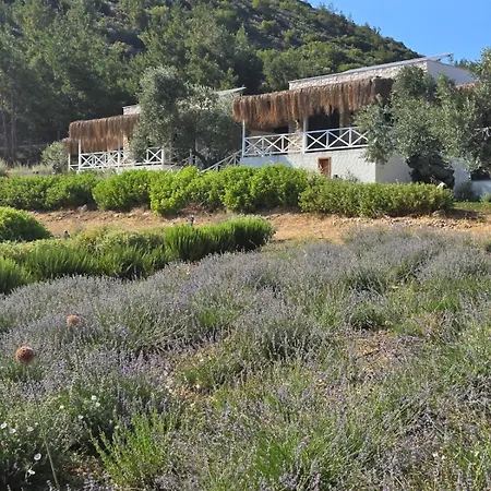 Da Doga Icinde Ciftlik Evleri Gaia Salamoria