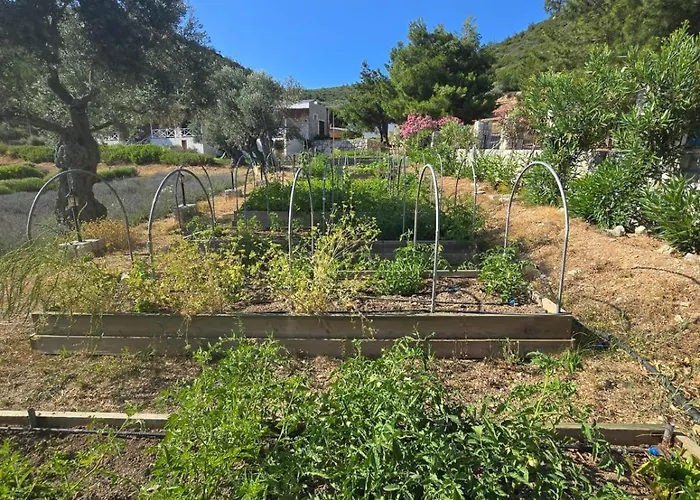 Da Doga Icinde Ciftlik Evleri Gaia Salamoria