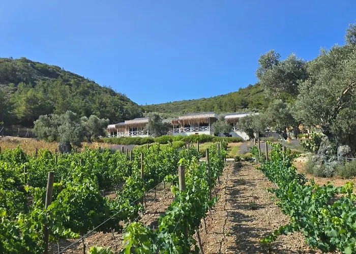 Da Doga Icinde Ciftlik Evleri Gaia Salamoria 假日公园 乌尔拉