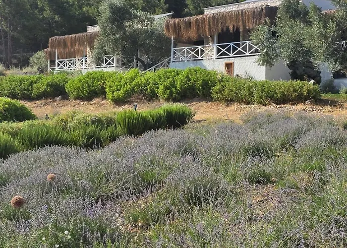 Da Doga Icinde Ciftlik Evleri Gaia Salamoria