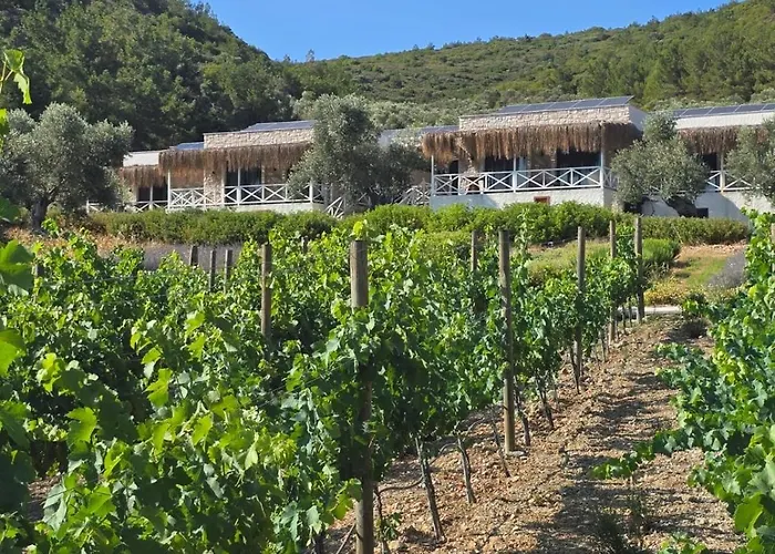 Da Doga Icinde Ciftlik Evleri Gaia Salamoria Kompleks wypoczynkowy Urla