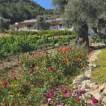 Da Doga Icinde Ciftlik Evleri Gaia Salamoria Üdülőpark *