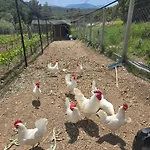 Da Doga Icinde Ciftlik Evleri Gaia Salamoria Üdülőpark Urla