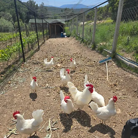Da Doga Icinde Ciftlik Evleri Gaia Salamoria Village de vacances Urla