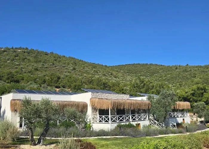 Da Doga Icinde Ciftlik Evleri Gaia Salamoria *