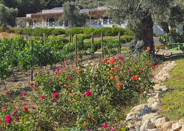 Da Doga Icinde Ciftlik Evleri Gaia Salamoria Parc de vacanță *