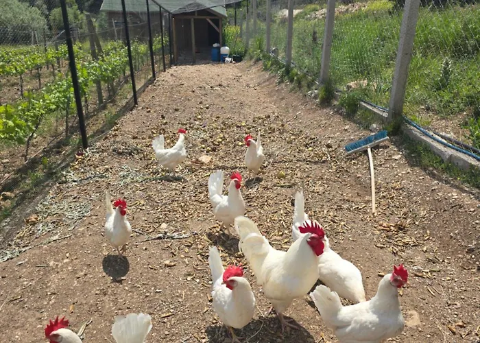 Da Doga Icinde Ciftlik Evleri Gaia Salamoria Parc de vacanță Urla