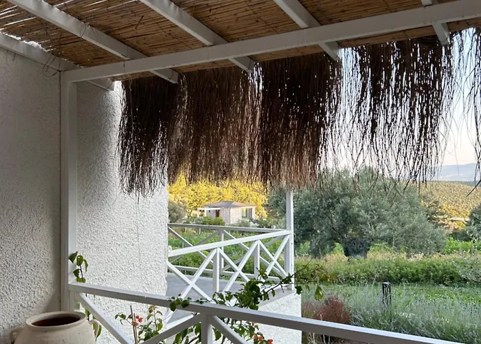 Da Doga Icinde Ciftlik Evleri Gaia Salamoria *