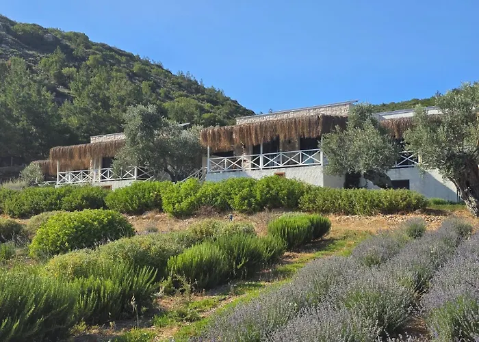 Da Doga Icinde Ciftlik Evleri Gaia Salamoria Parc de vacanță *